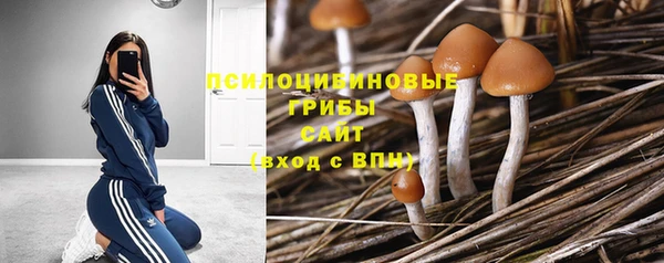 метадон Нея