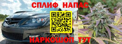 стаф Балахна