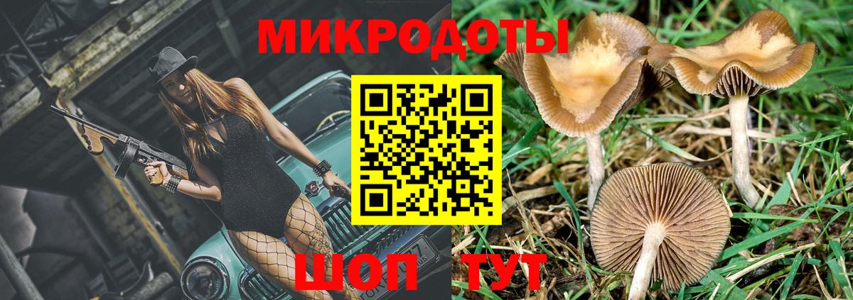 Псилоцибиновые грибы Cubensis  Бузулук 