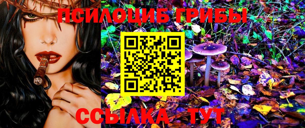 Бузулук  Галлюциногенные грибы Cubensis  Вход с VPN 